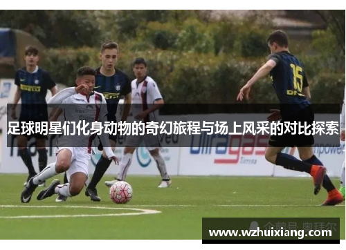 足球明星们化身动物的奇幻旅程与场上风采的对比探索