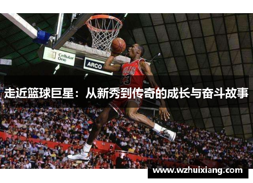 走近篮球巨星：从新秀到传奇的成长与奋斗故事